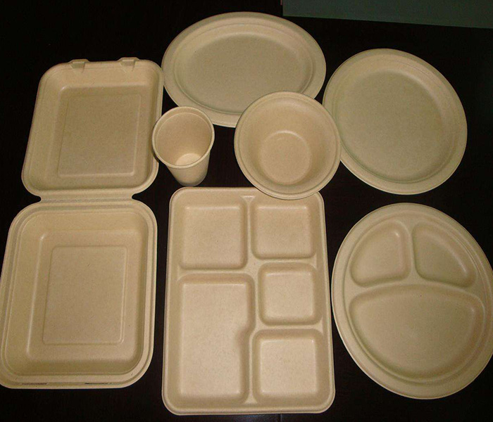 環(huán)保紙漿模塑歷來(lái)發(fā)展與應(yīng)用有哪些？