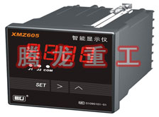 溫度表、數(shù)字顯示儀、濕度表