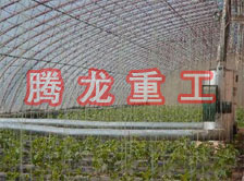 大棚花卉供暖設備、大棚卉采暖設備、大棚花卉取暖設備